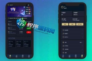 海外版CoinDesk微盘外汇源码/多语言CoinDesk投资系统/USDT充值